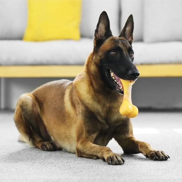 Tikaton Dog Chew Toys for Aggressive Chewers, Chicken Flavor Durable Dog Bone LG - Picture 5 of 6